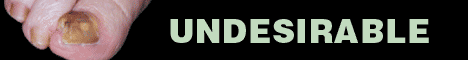 Blaine Labs
